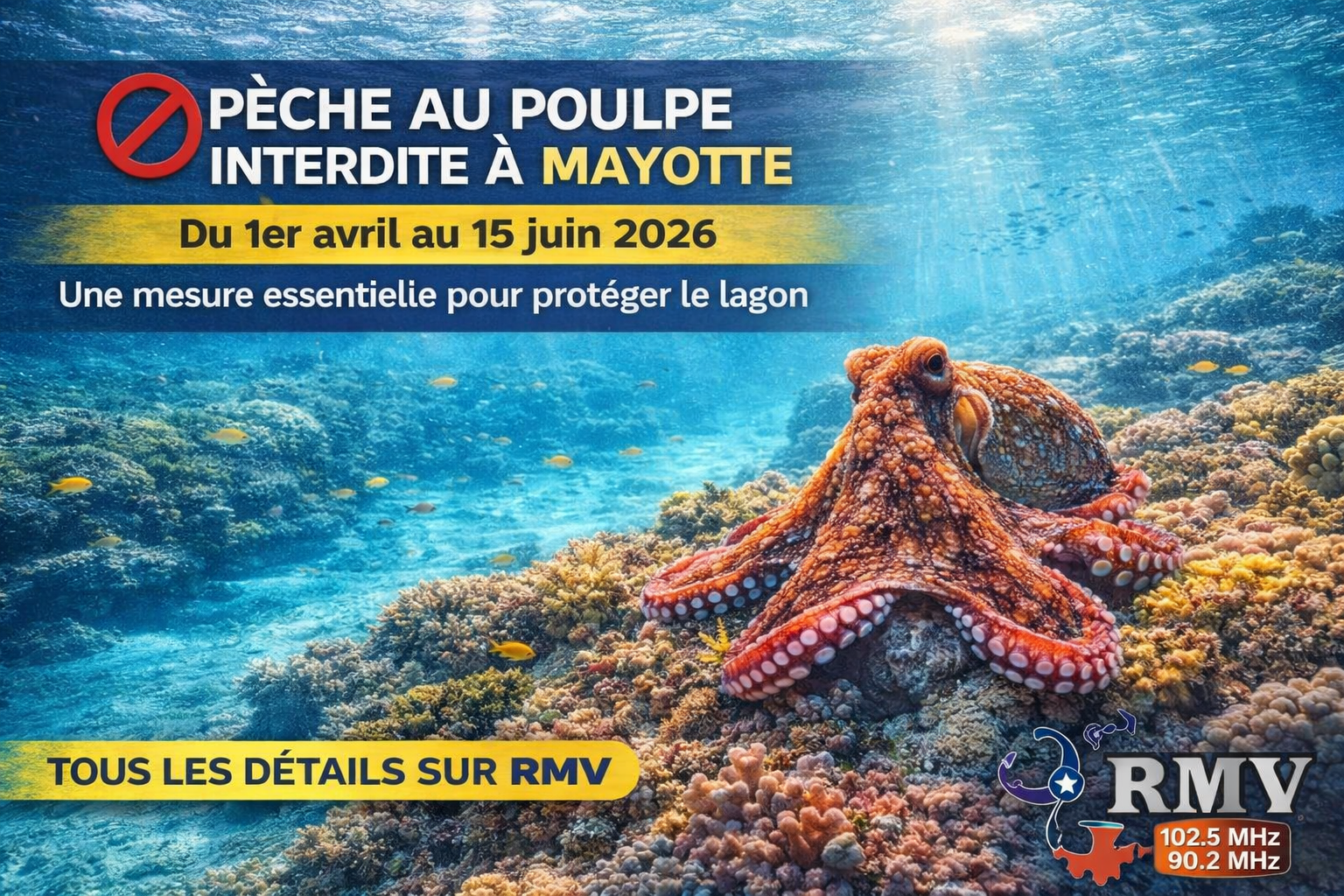 Pêche au poulpe interdite à Mayotte : une mesure essentielle jusqu'au 15 juin 2026 — Environnement